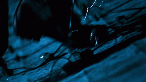 Falling Clark Griswold Christmas Lights GIF