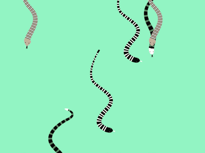 Perfect Snake Game GIFs