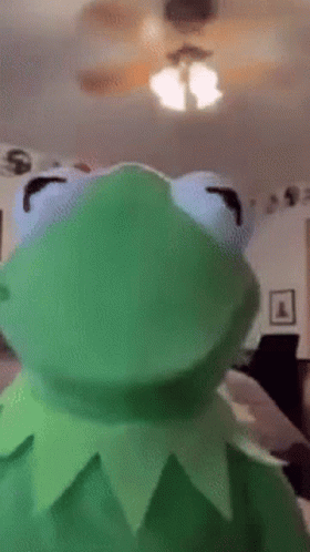Falling From Ceiling Fan Kermit The Frog GIF