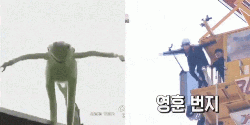 Falling Kermit Split Screen Meme GIF