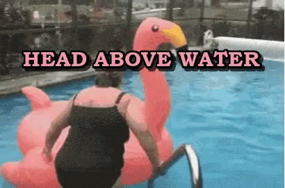 Falling On A Flamingo Floater GIF