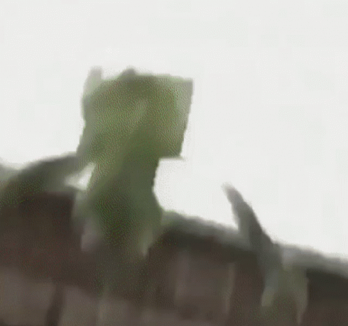 Falling Out Of Building Kermit The Frog GIF