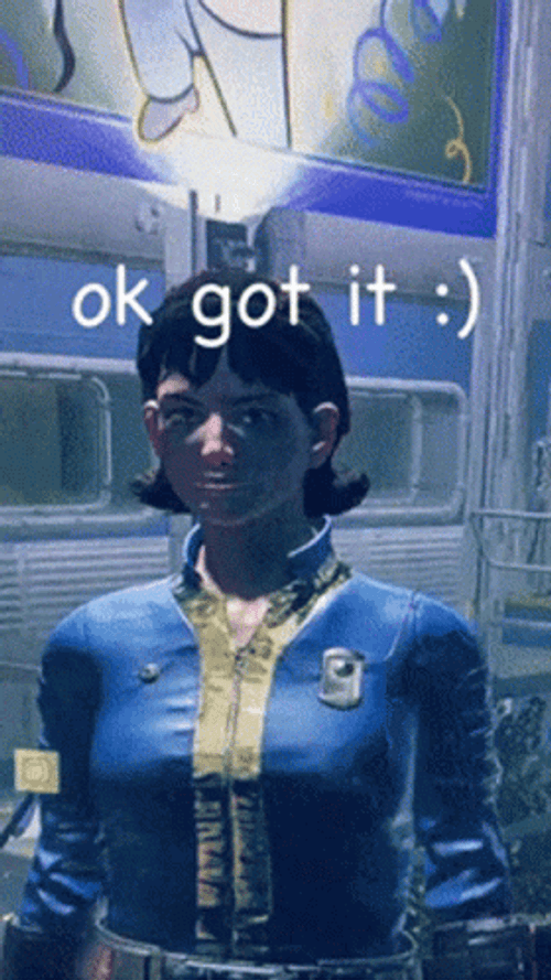 Fallout Game Character OK Got It GIF