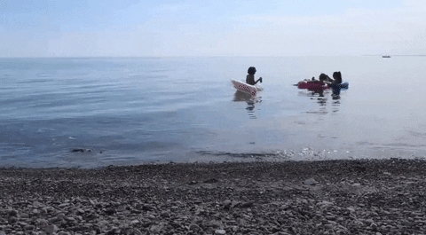 Family On The Floaties GIF