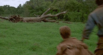 Family Running From Chicks GIF