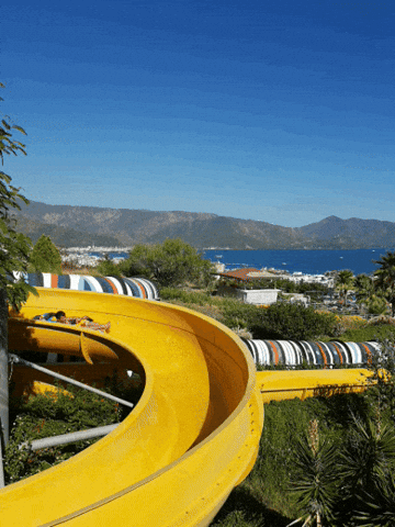 Family Time Enjoying Waterslide GIF