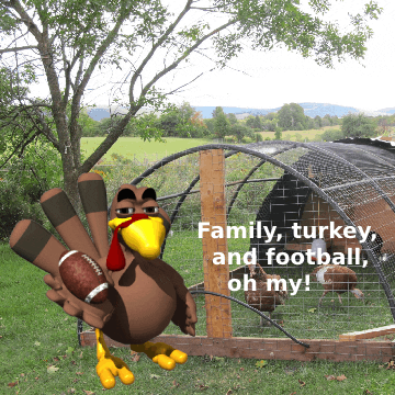 Family Turkey And Football Thanksgiving Meme GIF
