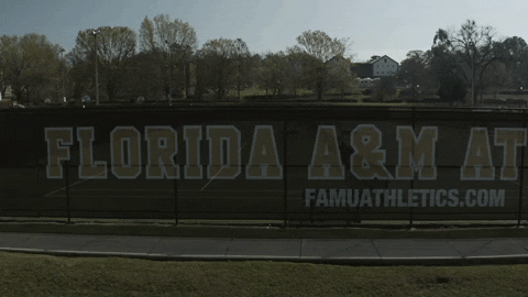 Famu Athletics Long Banner Displayed GIF