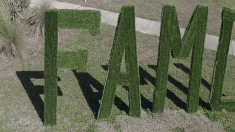 Famu Big Green Letters GIF