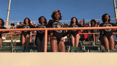 Famu Cheerleaders Performing On Bench GIF