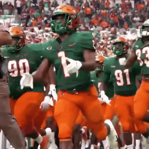Famu Football Rattlers Entering Field GIF
