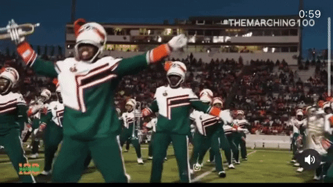Famu Marching 100 Band Body Wave GIF