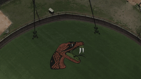 Famu Rattlers Logo On Field Aerial View GIF