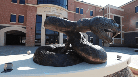 Famu Snake Statue Close Shot GIF