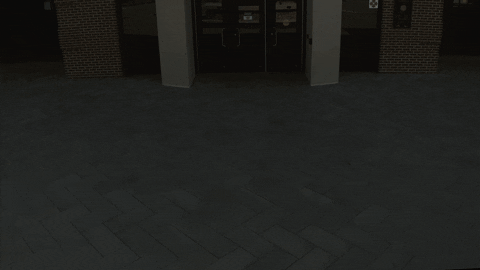 Famu Snake Statue Overhead Shot GIF
