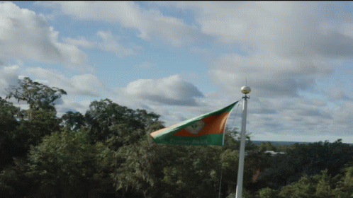 Famu Waving Flag On Pole GIF