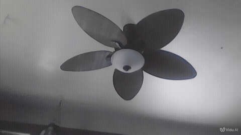fan