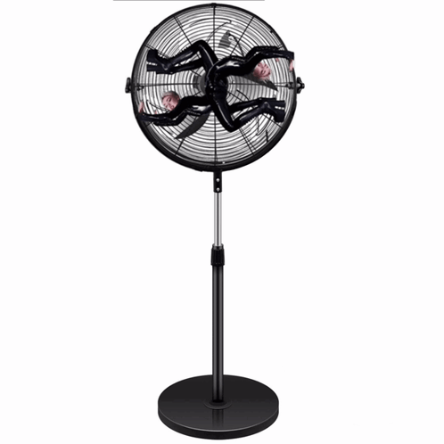 Fan with Spinning Spider