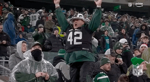 Fans Cheering For Jets GIF