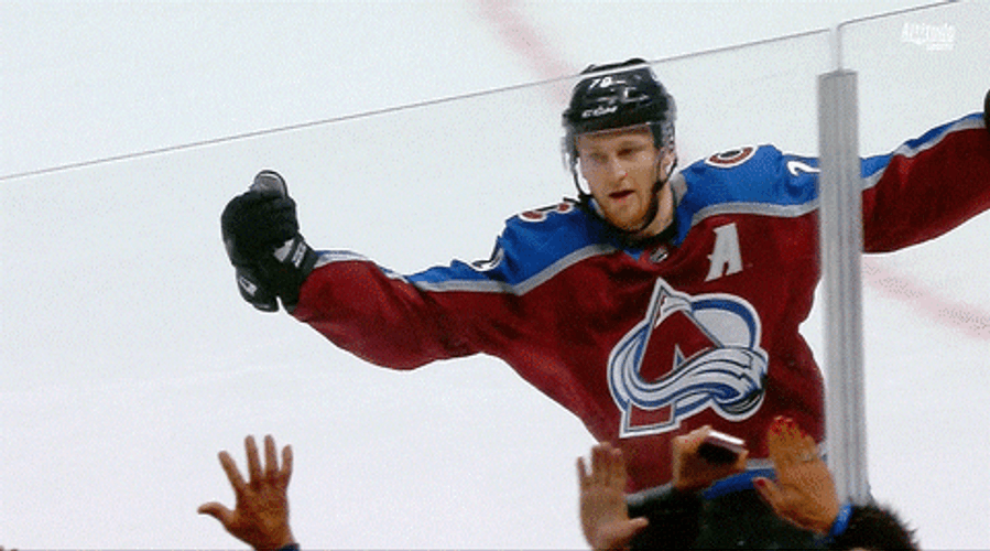 Fans Cheering On Avalanche Team GIF