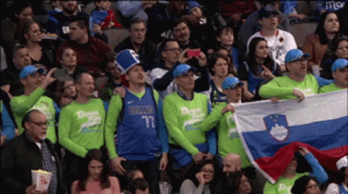 Fans Of Slovenia GIF