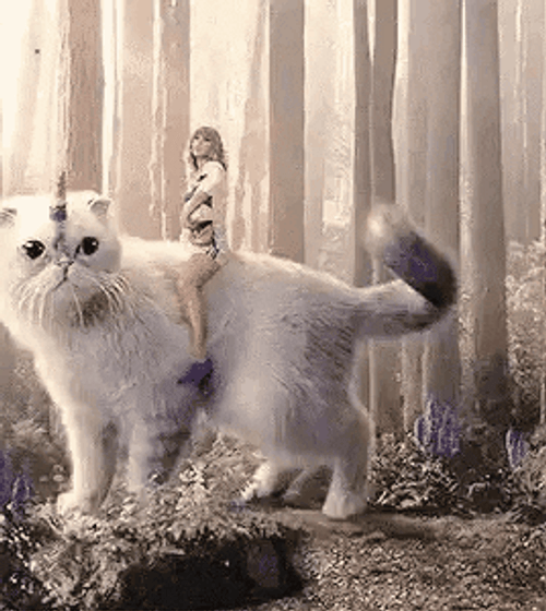 Fantasy cat Taylor Swift gif.
