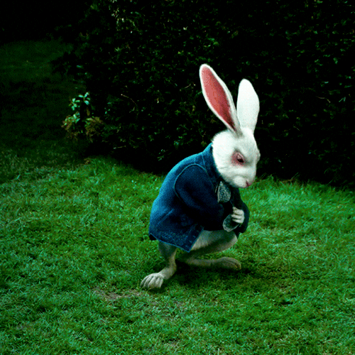 Fantasy White Rabbit gif.
