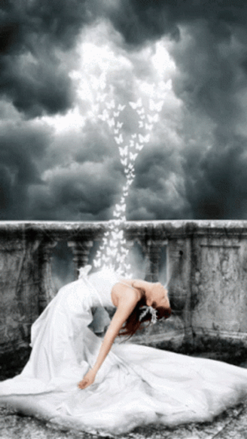 Fantasy Woman With Butterfly Animated Smoke  GIF