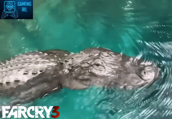 Far Cry 3 Meme Crocodile GIF