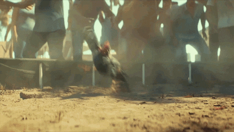 Far Cry 5 Cockfight GIF