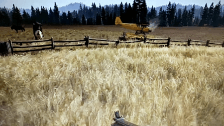 Far Cry 5 Multiplayer Video Game GIF