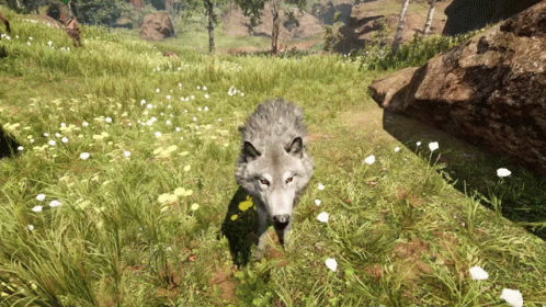 Far Cry 5 Wolfdog GIF