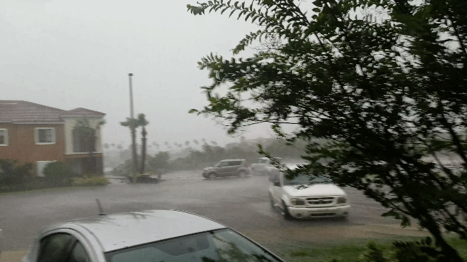 Farewell Neighborhood Hurricane Irma GIF