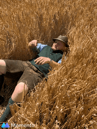 Farmer Lying In The Field GIF