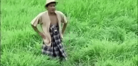 Farmer Standing In A Rice Field GIF
