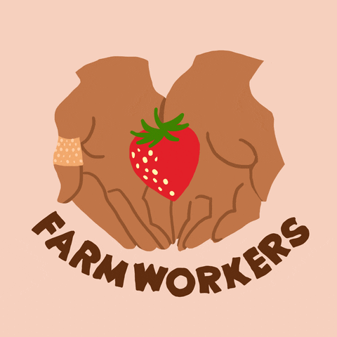 Farming Farm Workers GIF