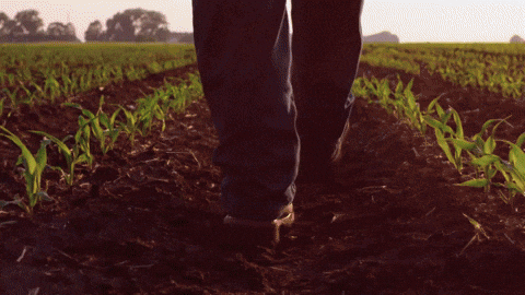 Farming Shoes Different Places GIF