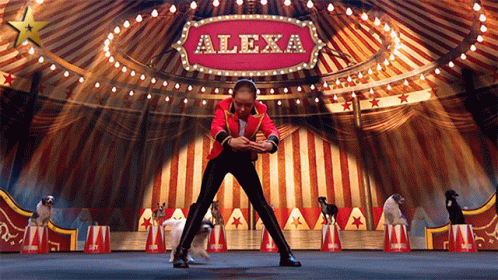 Fascinating Alexa Circus Jump Trick Stunt GIF