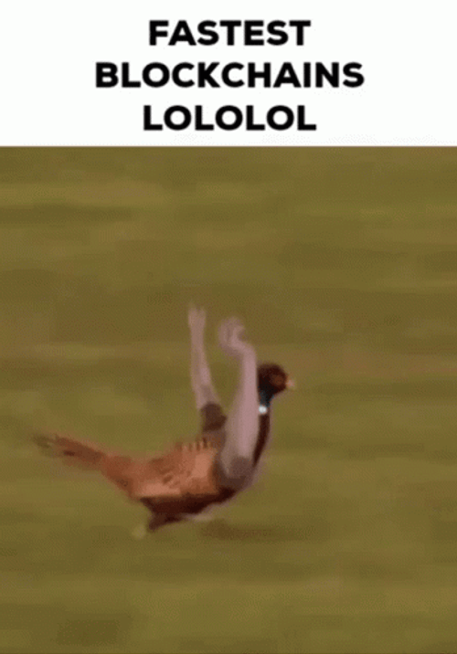Fast Bird Help Hand GIF