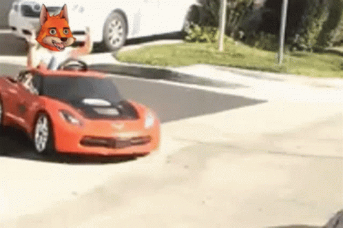 Fox Driving A Small Ride-on Fast Car GIF