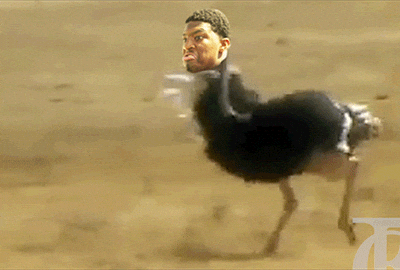 Fast Running Ostrich With Human Head GIF