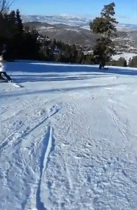Fast Skiing Snow Slide GIF