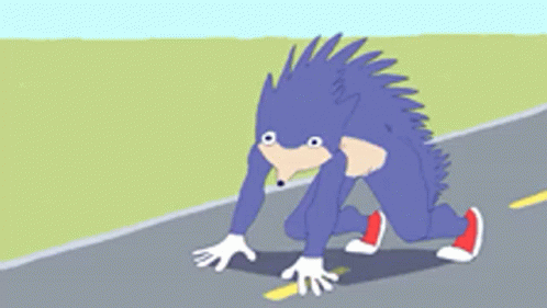 Fast Sonic Meme Getting Ready GIF