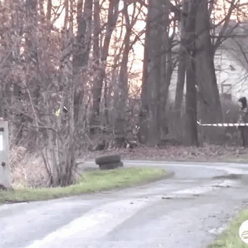 Fast Speeding Red Car GIF