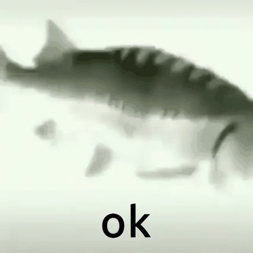 Fast Spinning Silver Fish Okay GIF