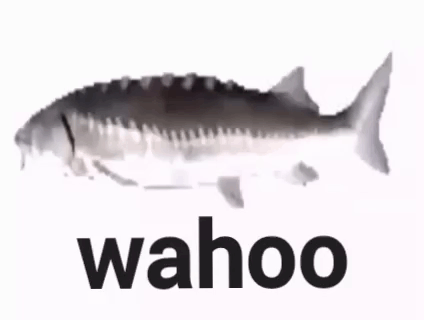 Fast Spinning Silver Fish Wahoo Meme GIF
