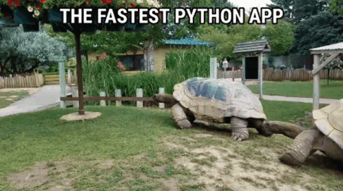 Fastest Python App Like Tortoise GIF