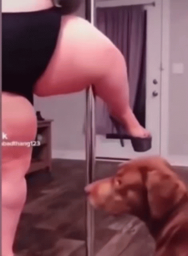 Fat Girl Pole Dancing To Rotisserie Chicken GIF