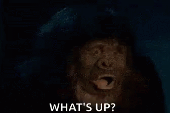 Fat Monkey Being Shocked GIF