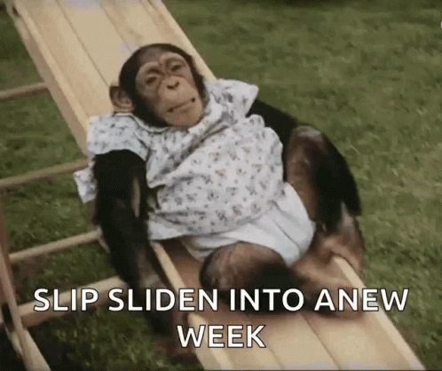 Fat Monkey Playing On A Slide GIF